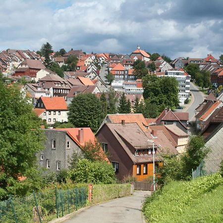 Ferienwohnung Wiesenblick mit Terrasse im Landhaus Fischer Sankt Andreasberg Exterior foto
