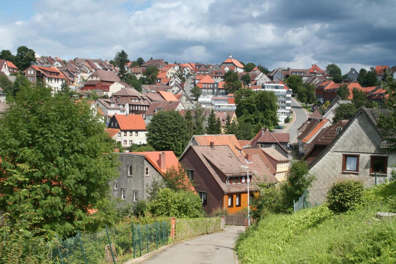 Ferienwohnung Wiesenblick mit Terrasse im Landhaus Fischer Sankt Andreasberg Exterior foto